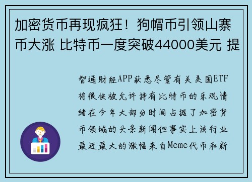 加密货币再现疯狂！狗帽币引领山寨币大涨 比特币一度突破44000美元 提供者 智通财经