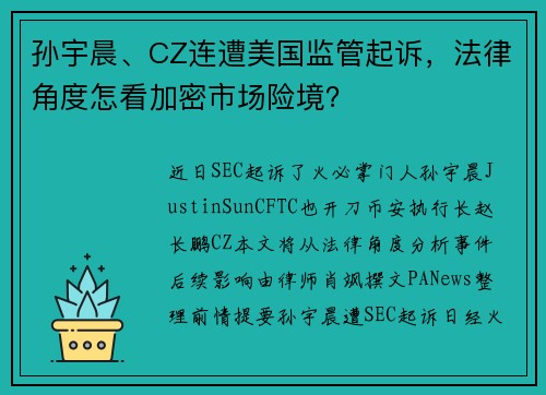 孙宇晨、CZ连遭美国监管起诉，法律角度怎看加密市场险境？